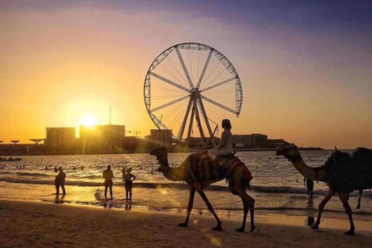 Seaview Beach Hostel Jbr - Walk To Beach - Gym - Pool - Metro Station 迪拜 外观 照片