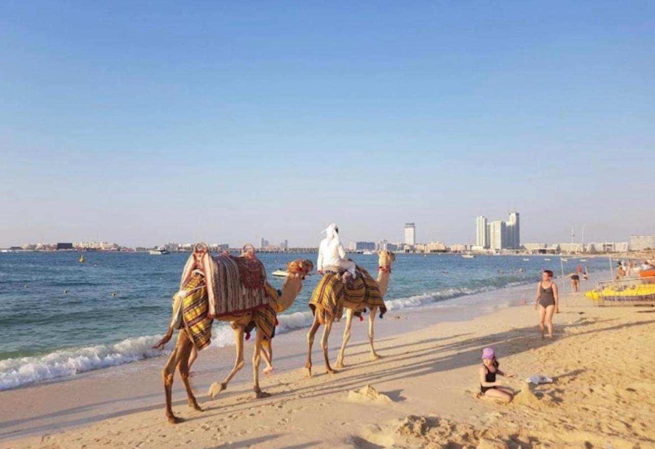 Seaview Beach Hostel Jbr - Walk To Beach - Gym - Pool - Metro Station 迪拜 外观 照片